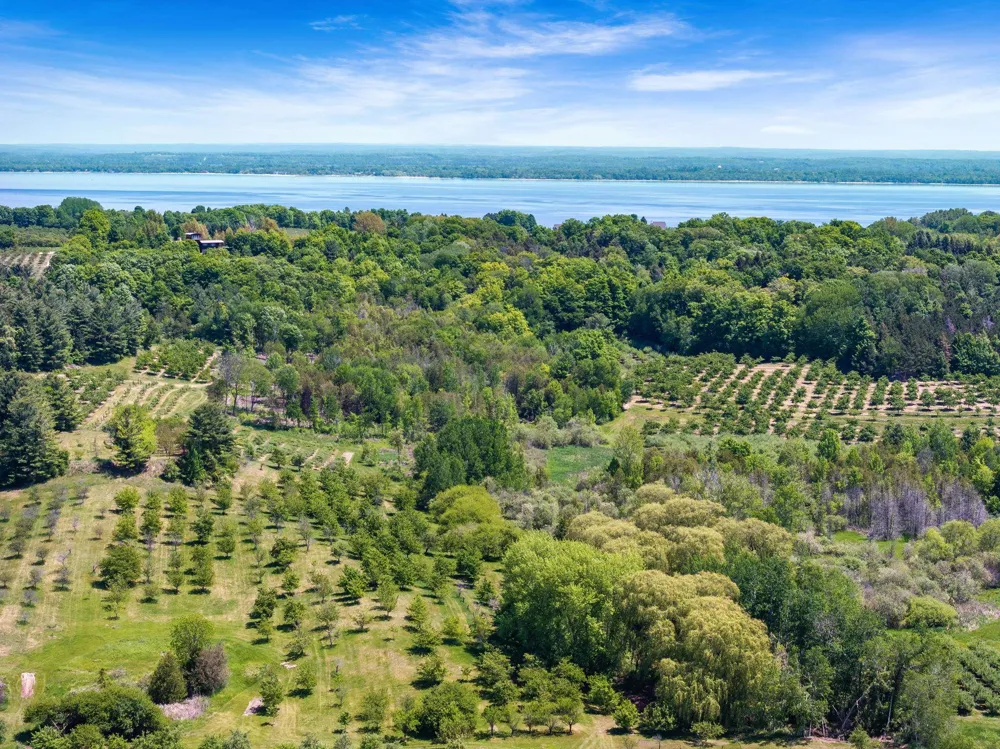 14792 Peninsula Drive Peninsula Township, MI 49686