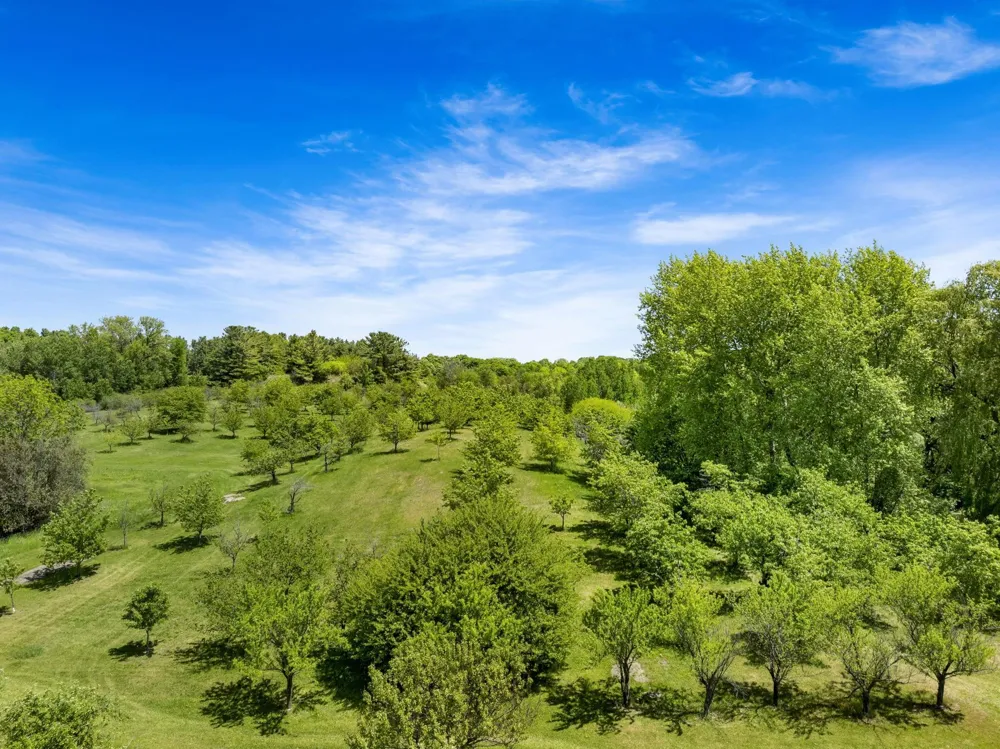 14792 Peninsula Drive Peninsula Township, MI 49686