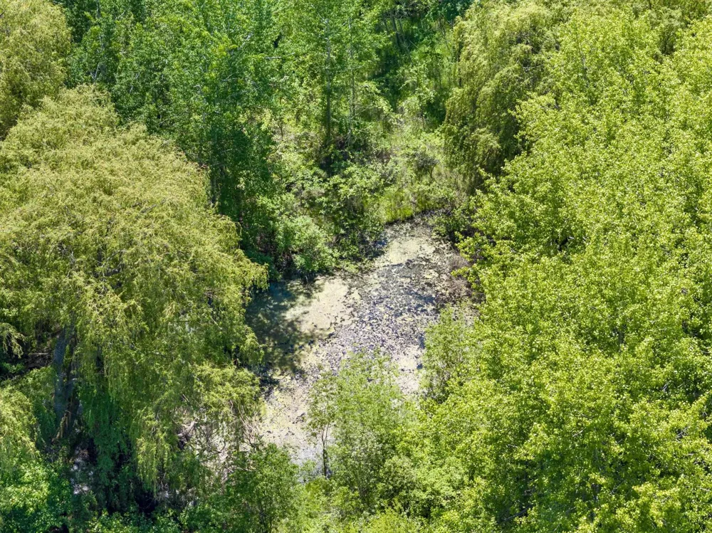 14792 Peninsula Drive Peninsula Township, MI 49686