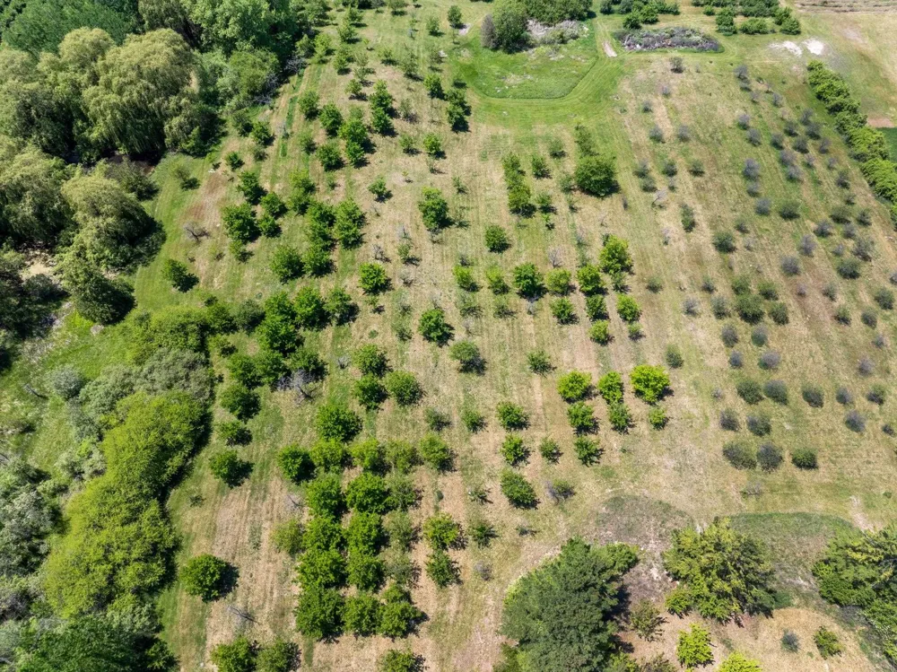 14792 Peninsula Drive Peninsula Township, MI 49686