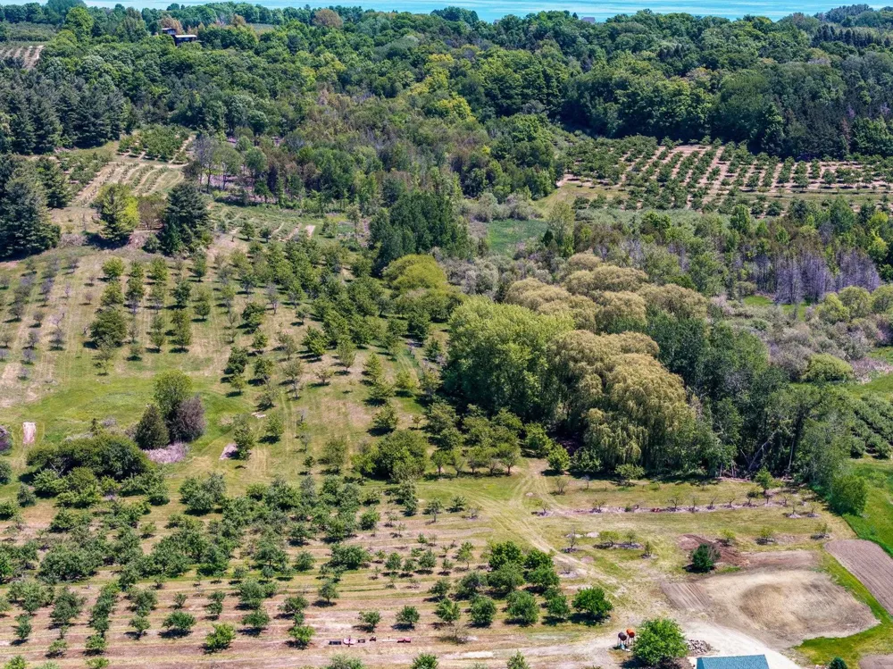 14792 Peninsula Drive Peninsula Township, MI 49686