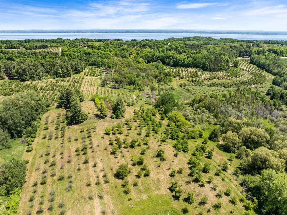 14792 Peninsula Drive Peninsula Township, MI 49686