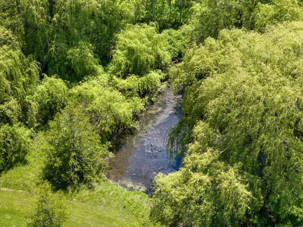14792 Peninsula Drive Peninsula Township, MI 49686
