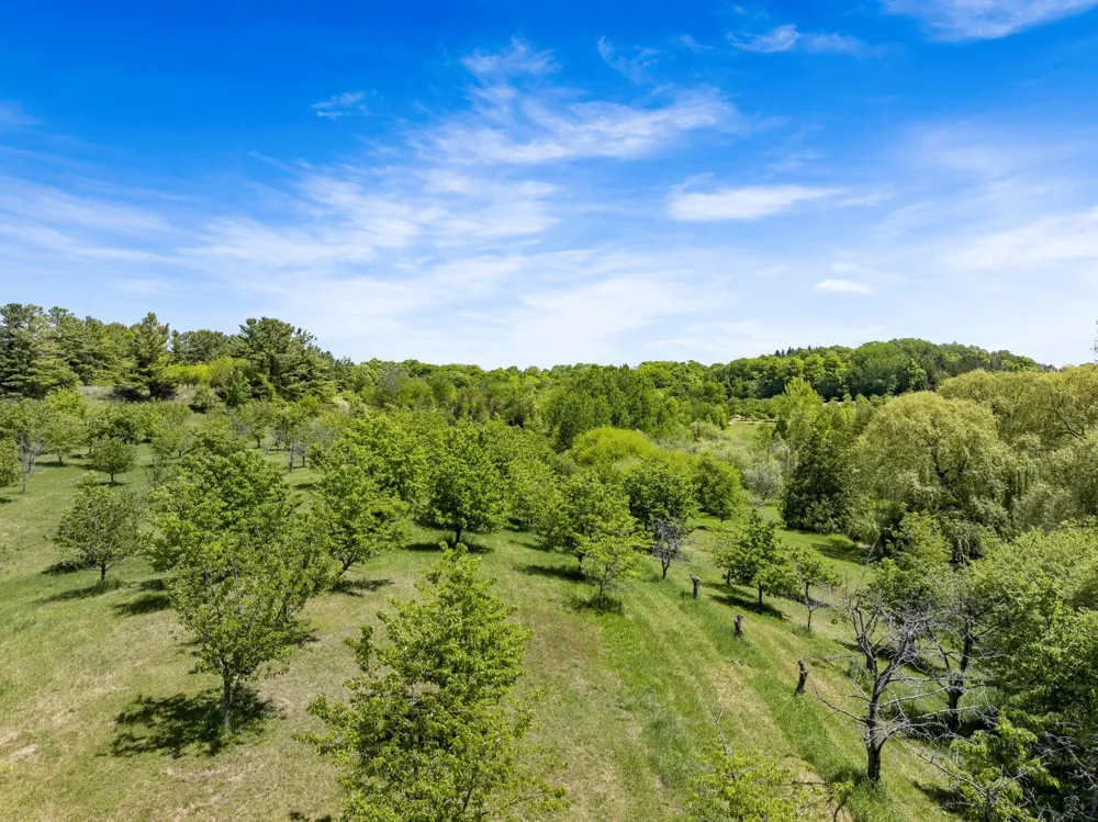 14792 Peninsula Drive Peninsula Township, MI 49686