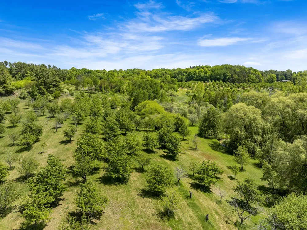 14792 Peninsula Drive Peninsula Township, MI 49686