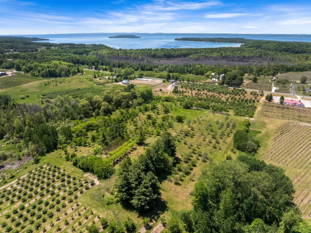 14792 Peninsula Drive Peninsula Township, MI 49686