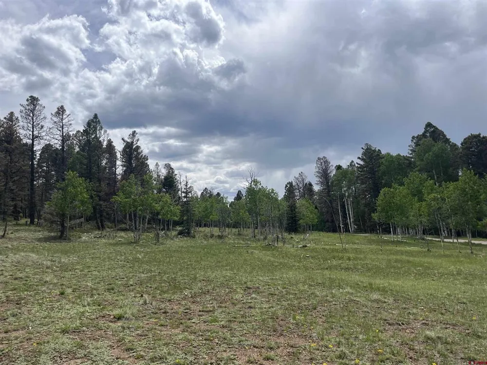 254 Aspen Trail Cimarron, CO 81220