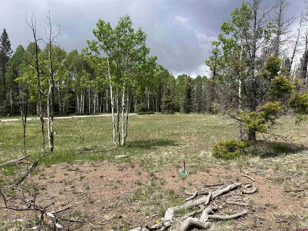 254 Aspen Trail Cimarron, CO 81220