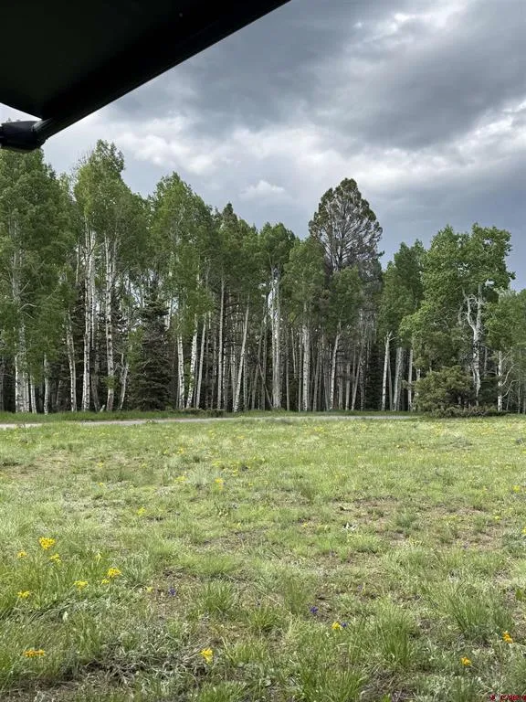 254 Aspen Trail Cimarron, CO 81220