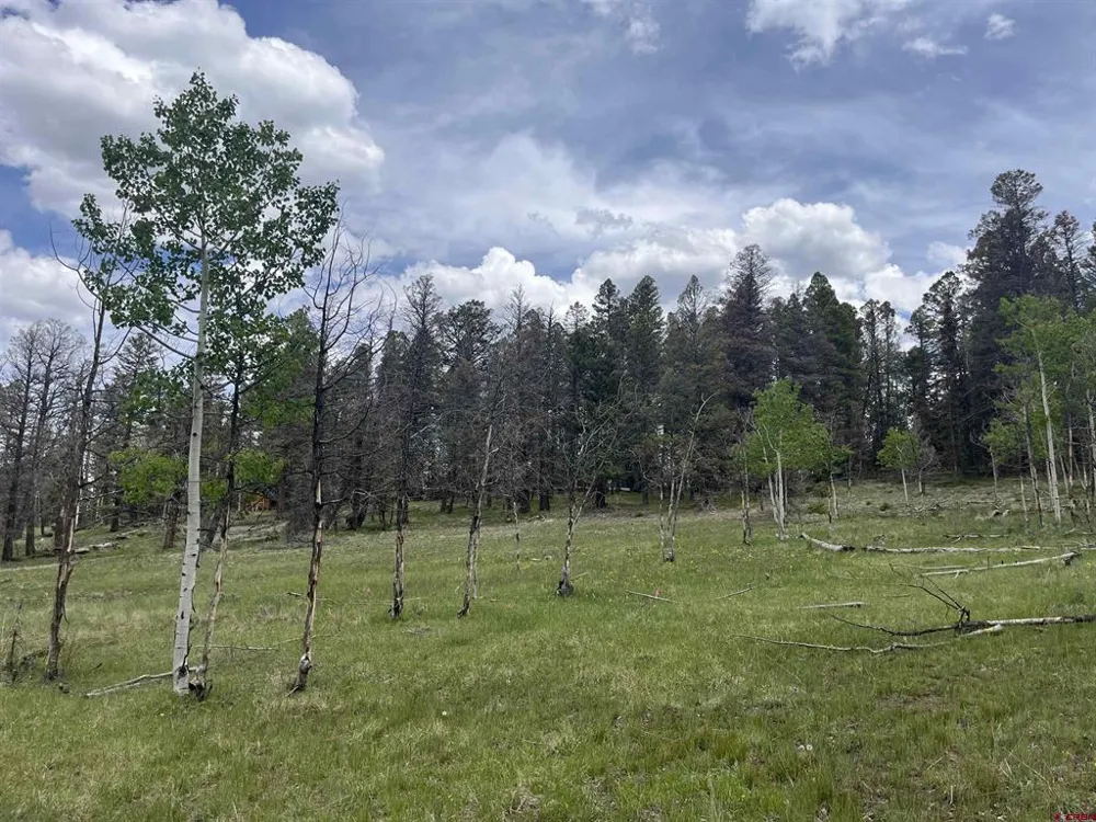 254 Aspen Trail Cimarron, CO 81220