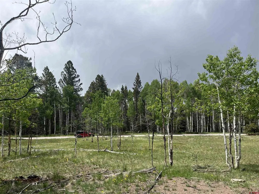 254 Aspen Trail Cimarron, CO 81220