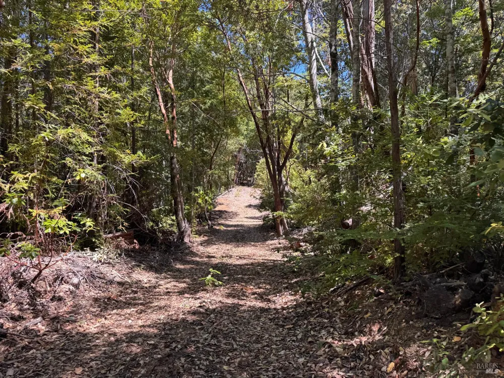 21530 Fort Ross Road Cazadero, CA 95421