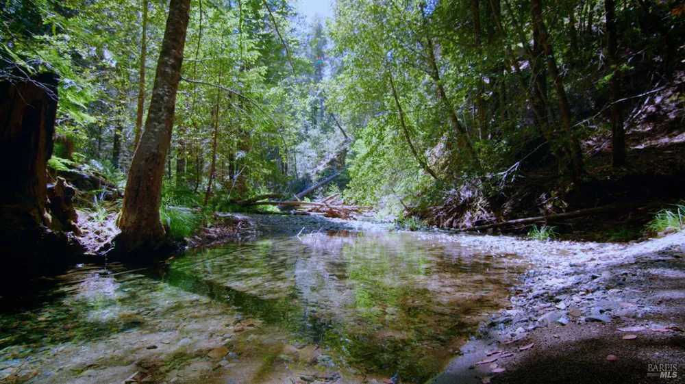 21530 Fort Ross Road Cazadero, CA 95421