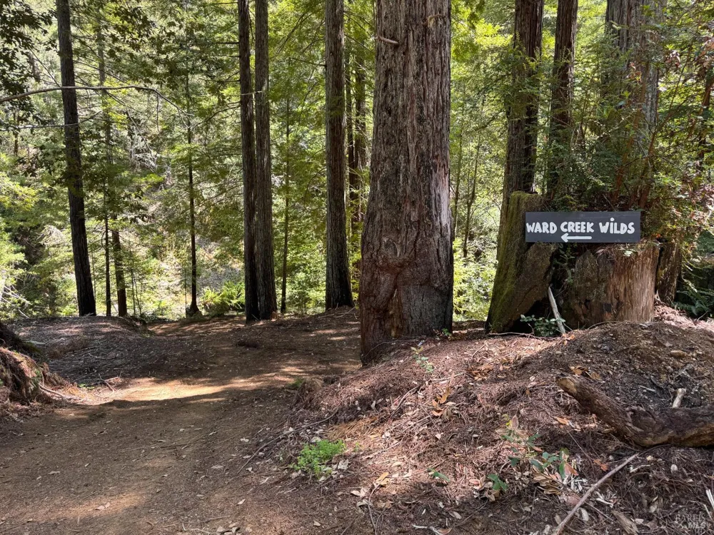 21530 Fort Ross Road Cazadero, CA 95421