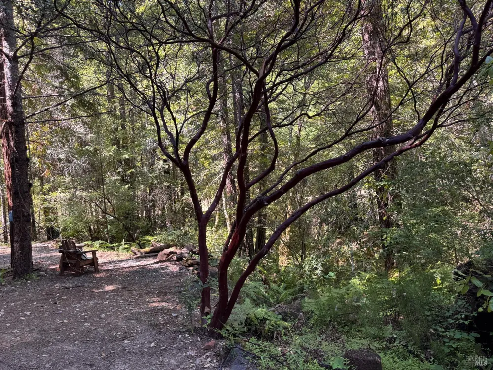 21530 Fort Ross Road Cazadero, CA 95421