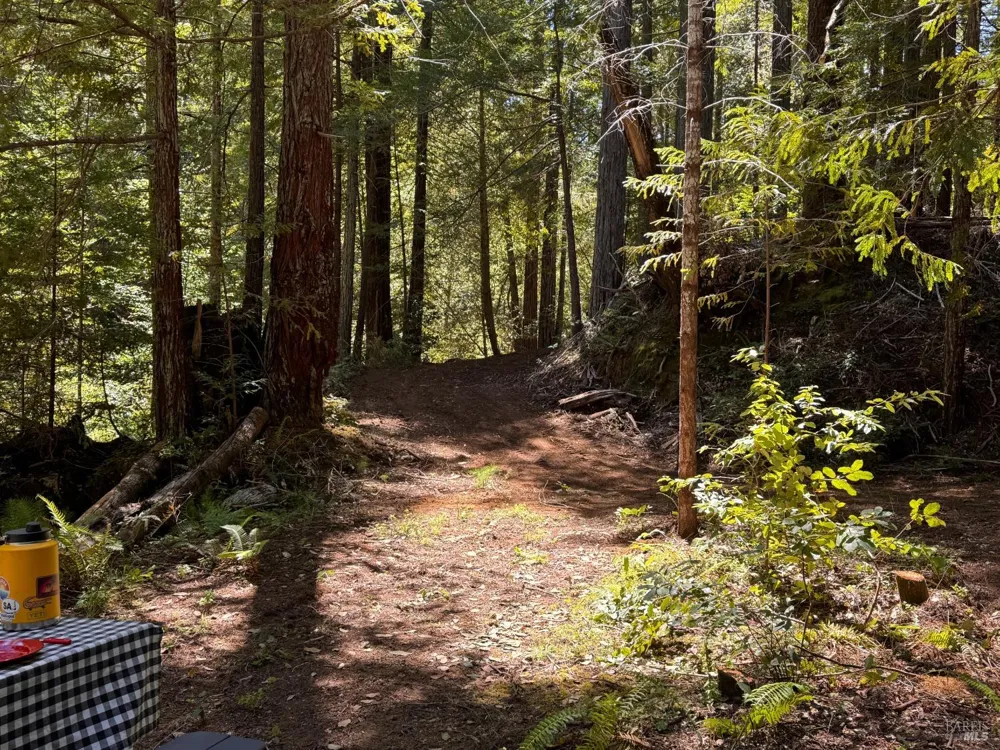 21530 Fort Ross Road Cazadero, CA 95421