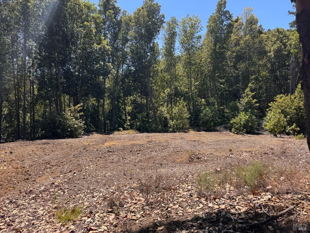 21530 Fort Ross Road Cazadero, CA 95421