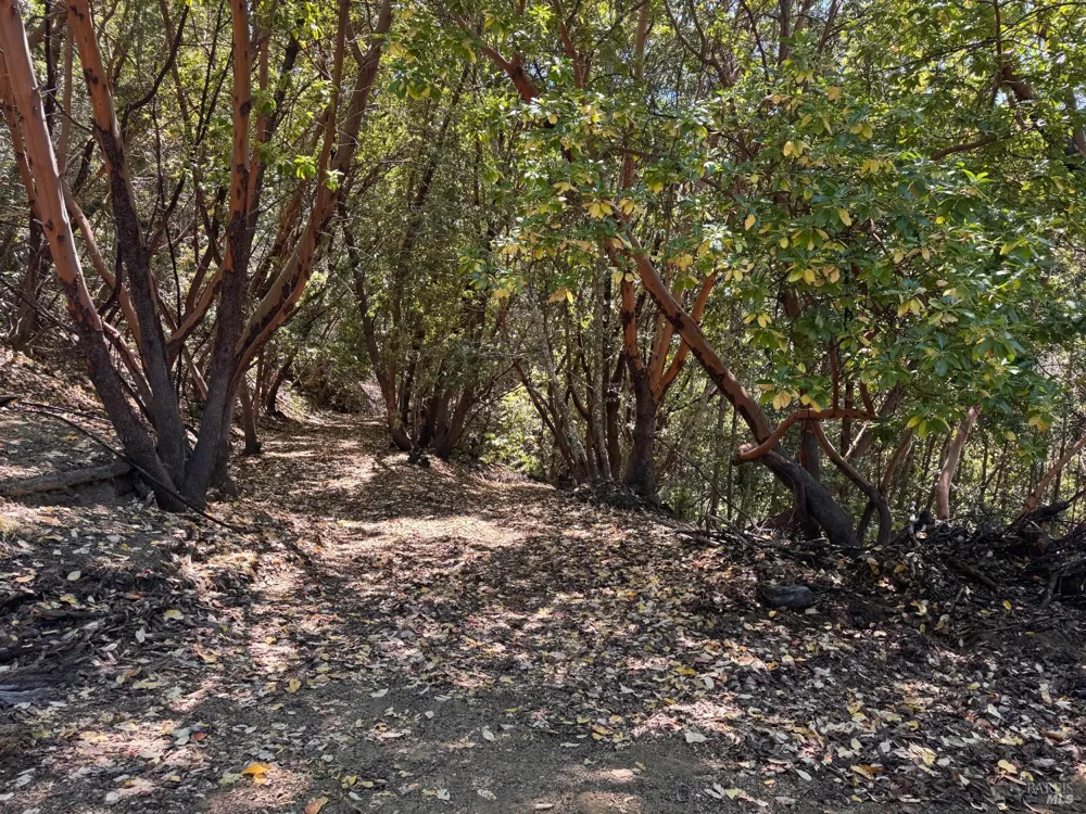 21530 Fort Ross Road Cazadero, CA 95421