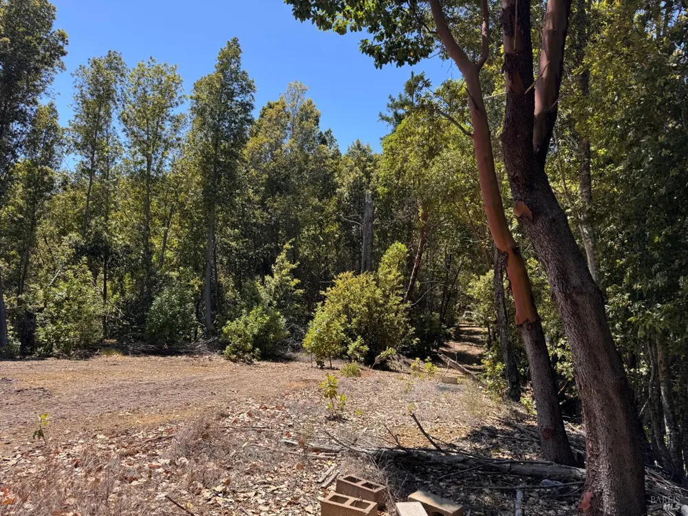 21530 Fort Ross Road Cazadero, CA 95421