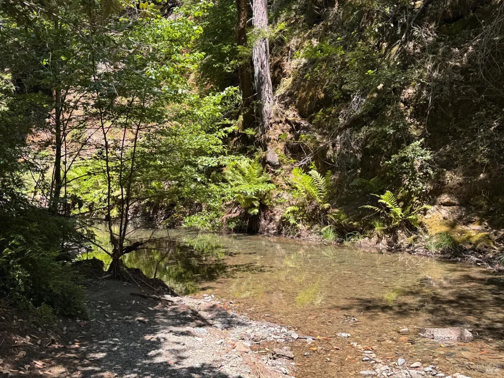 21530 Fort Ross Road Cazadero, CA 95421