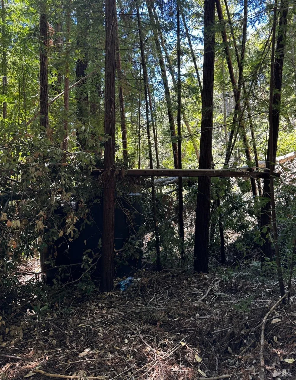 21530 Fort Ross Road Cazadero, CA 95421