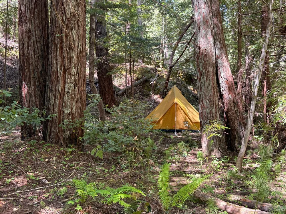 21530 Fort Ross Road Cazadero, CA 95421