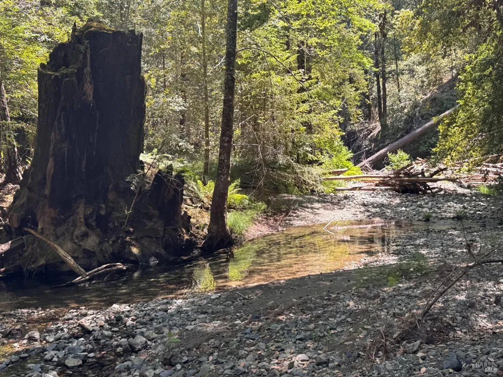 21530 Fort Ross Road Cazadero, CA 95421