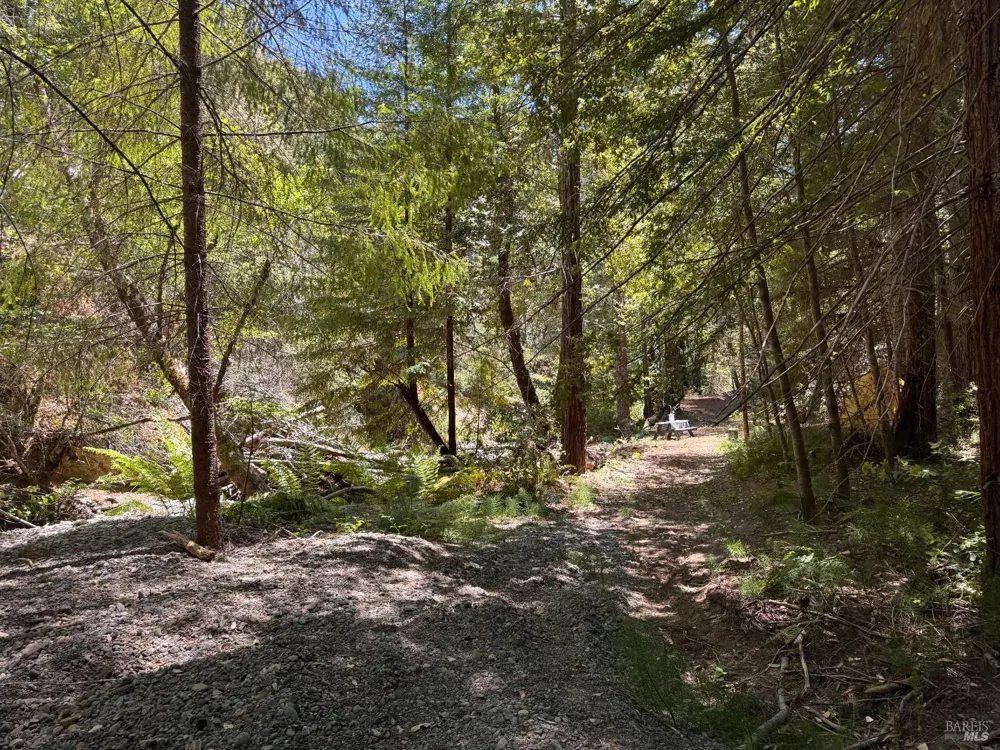 21530 Fort Ross Road Cazadero, CA 95421