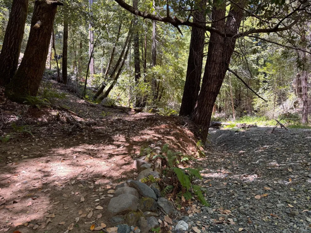 21530 Fort Ross Road Cazadero, CA 95421
