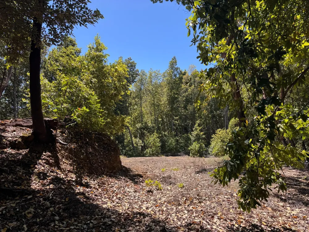 21530 Fort Ross Road Cazadero, CA 95421