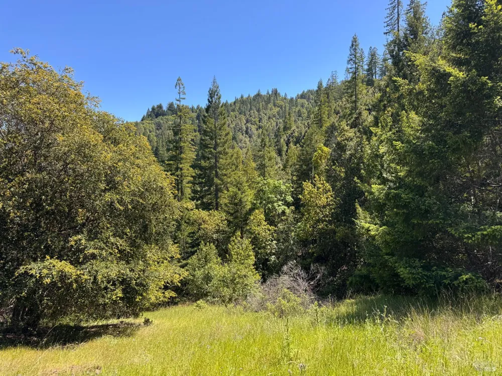 21530 Fort Ross Road Cazadero, CA 95421