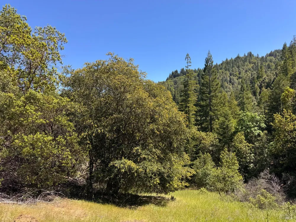 21530 Fort Ross Road Cazadero, CA 95421