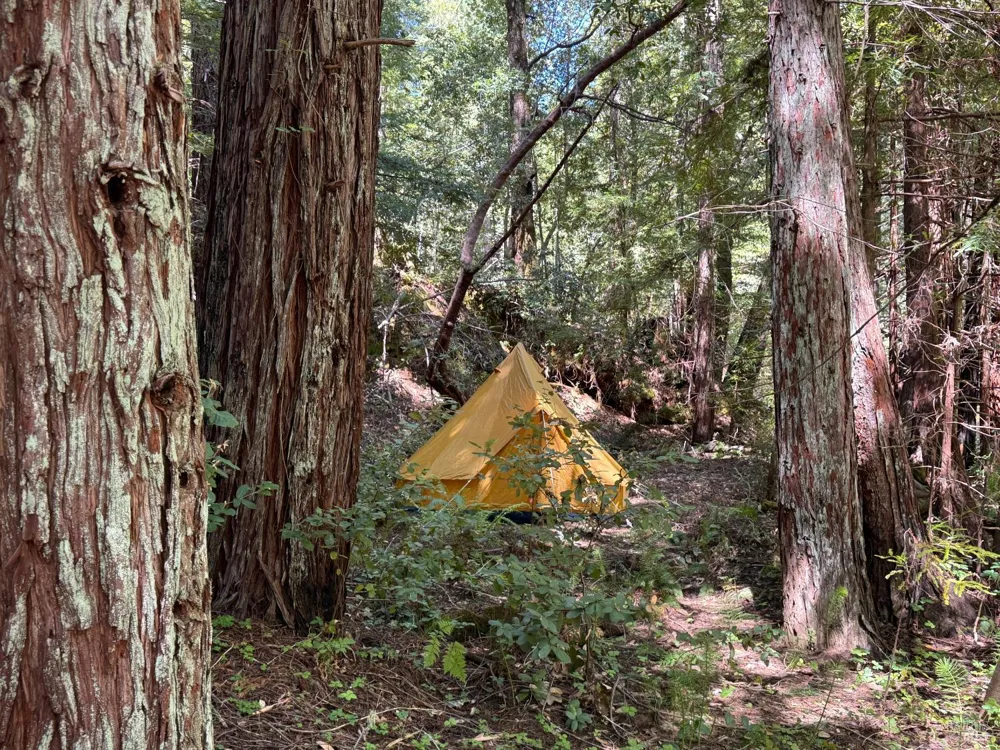 21530 Fort Ross Road Cazadero, CA 95421
