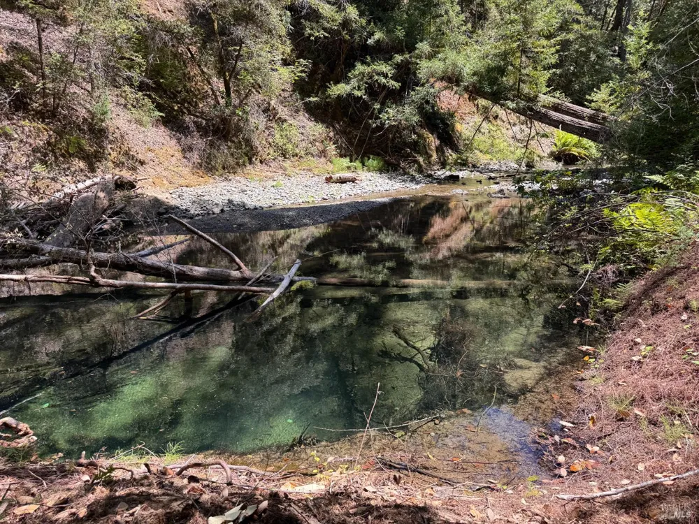 21530 Fort Ross Road Cazadero, CA 95421