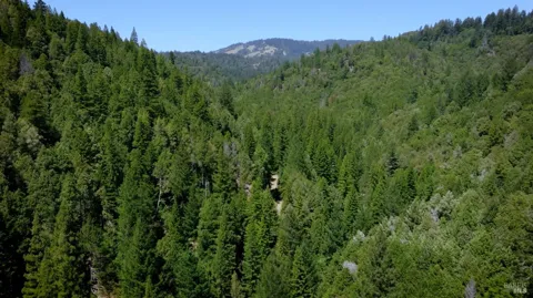21530 Fort Ross Road