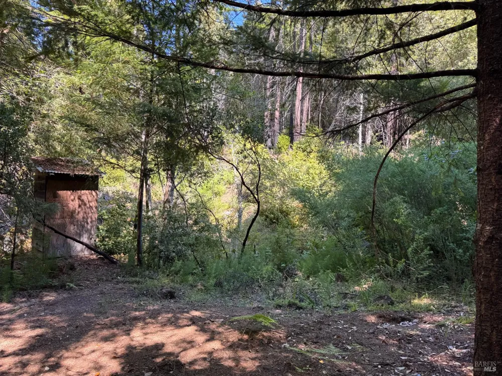 21530 Fort Ross Road Cazadero, CA 95421