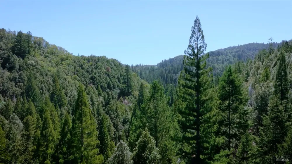 21530 Fort Ross Road Cazadero, CA 95421