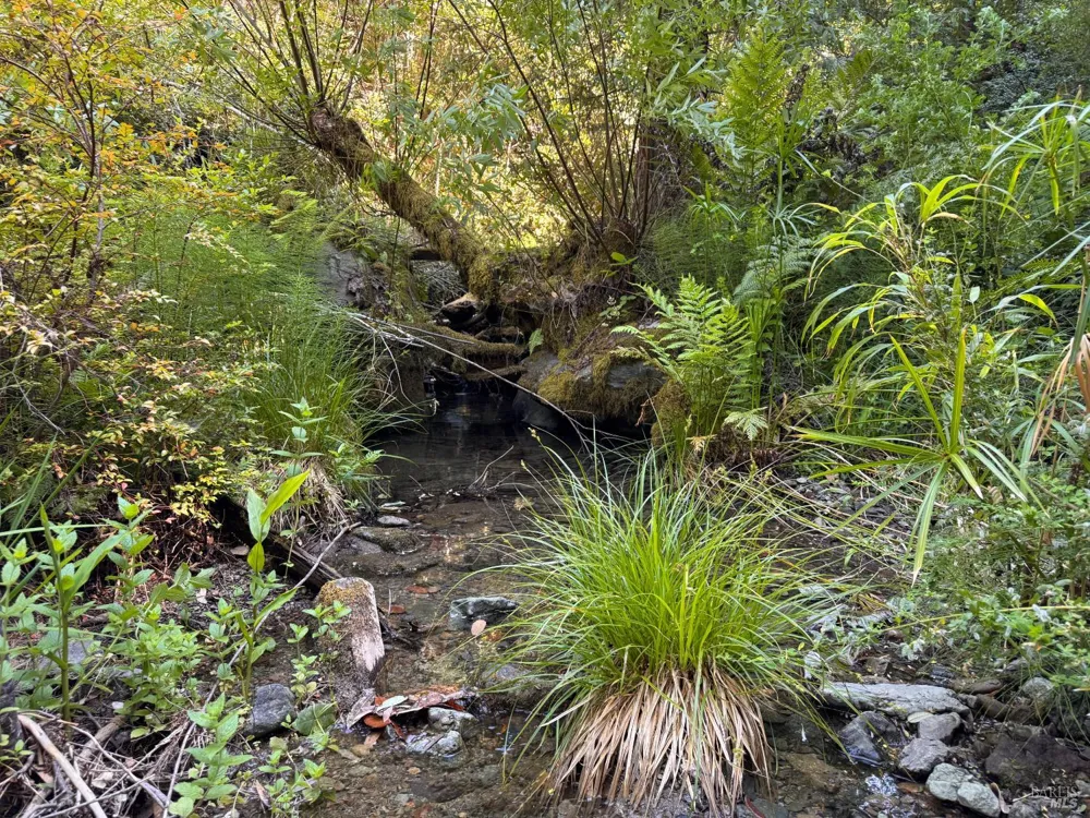 21530 Fort Ross Road Cazadero, CA 95421