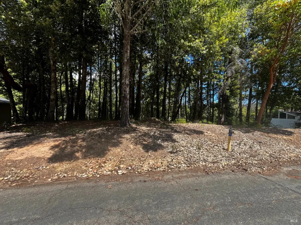 1670 Lilac Lane Willits, CA 95490