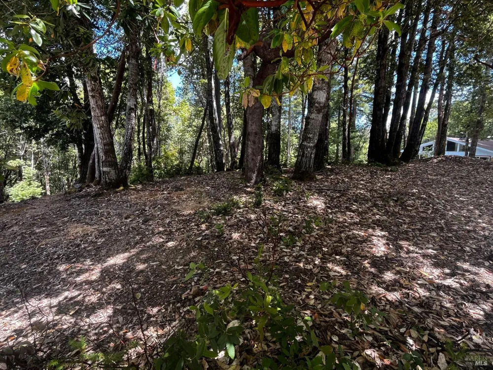 1670 Lilac Lane Willits, CA 95490