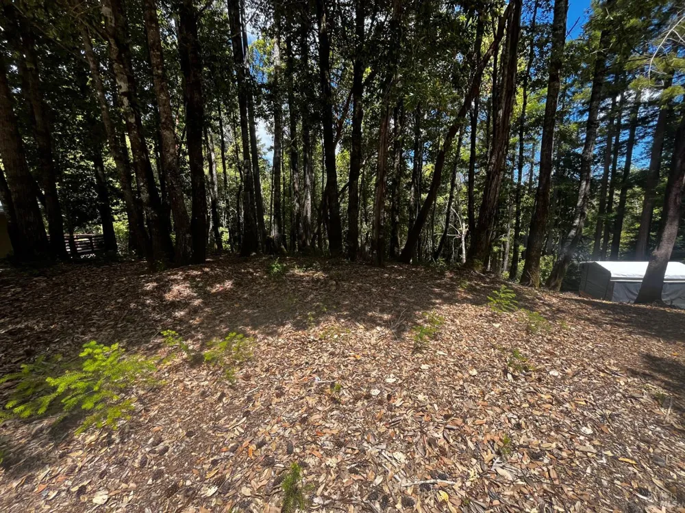 1670 Lilac Lane Willits, CA 95490