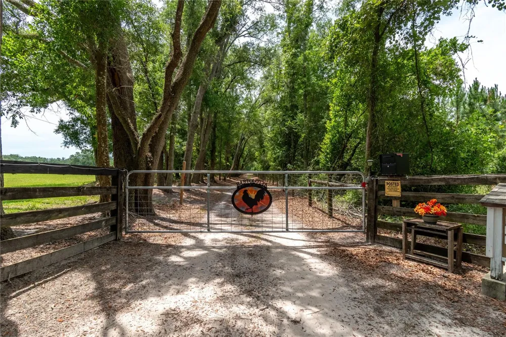 11990 156TH STREET Mc Alpin, FL 32062