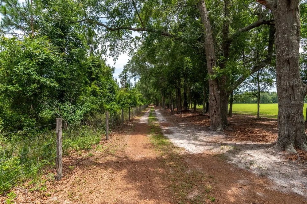 11990 156TH STREET Mc Alpin, FL 32062