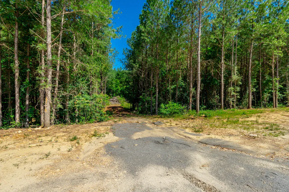 Split Rail Way Guild, TN 37340