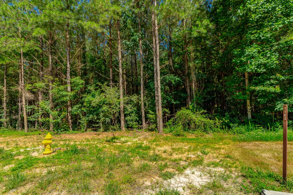 Split Rail Way Guild, TN 37340