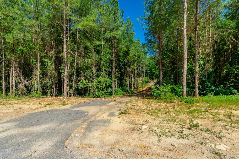 Split Rail Way Guild, TN 37340