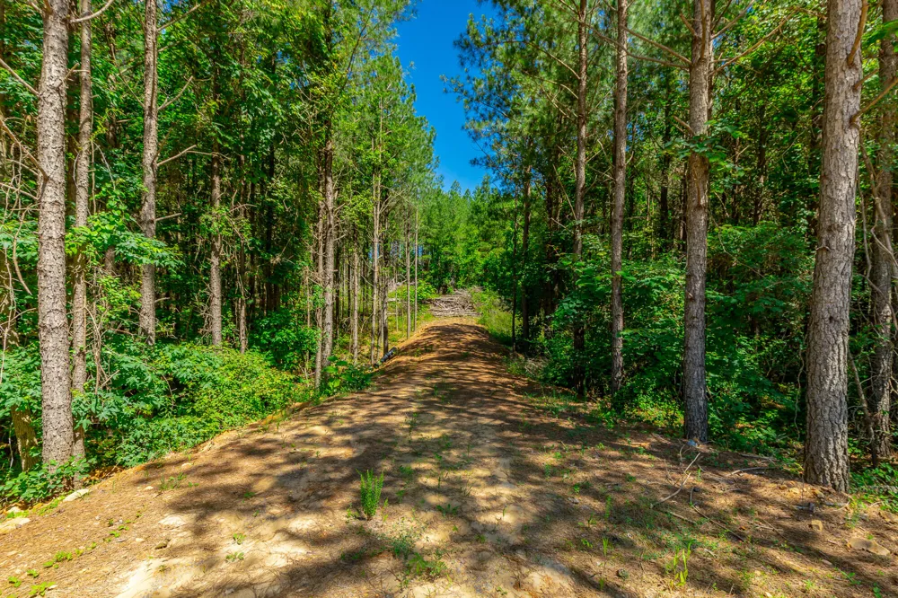 Split Rail Way Guild, TN 37340