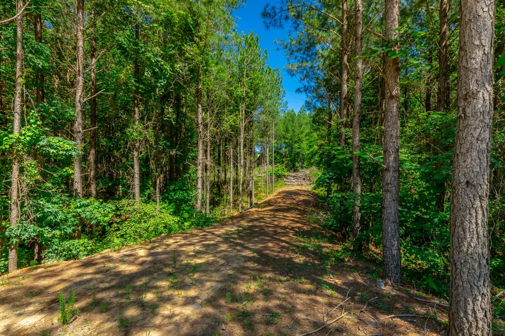 Split Rail Way Guild, TN 37340