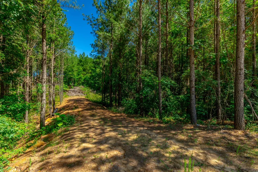 Split Rail Way Guild, TN 37340