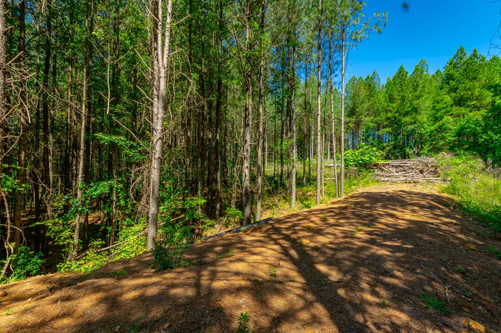 Split Rail Way Guild, TN 37340